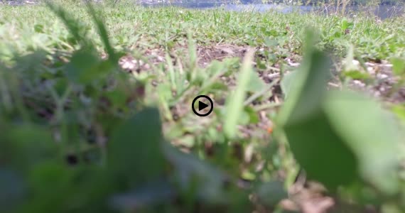 ハルシュタット1-2