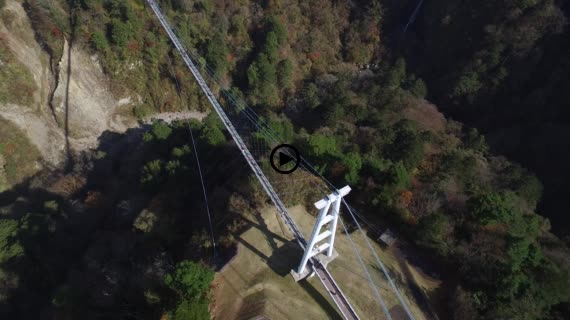 九重夢大吊橋11-1