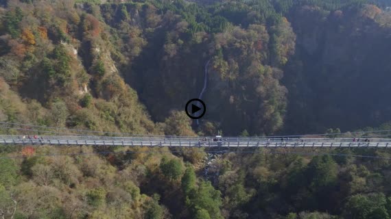 九重夢大吊橋15-1