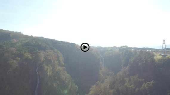 九重夢大吊橋5-1