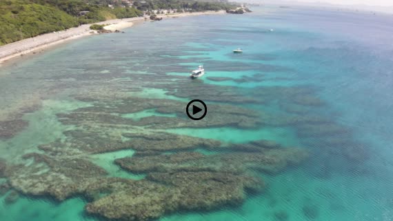 ゴリラチョップ