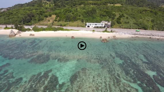 ゴリラチョップ