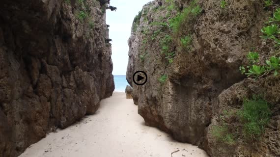 ワルミ岩動画４