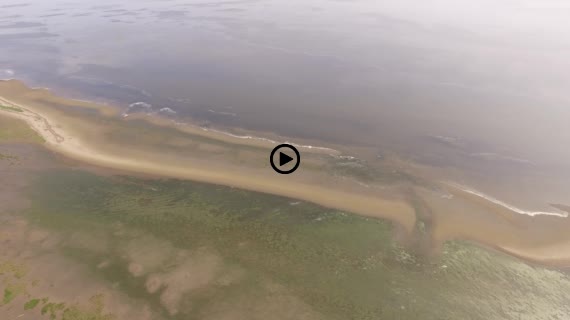 トドワラ動画２