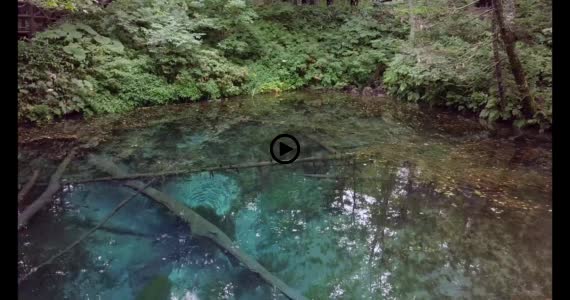 神の子池動画１