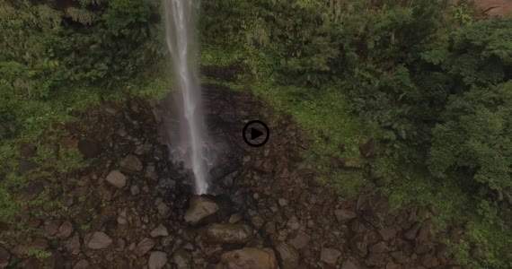 ピナイサーラ動画１