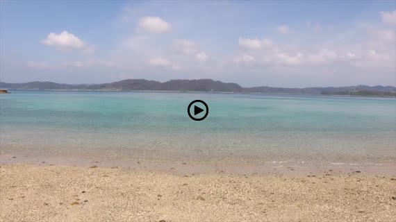 奄美大島動画１