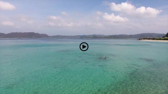 奄美大島動画２