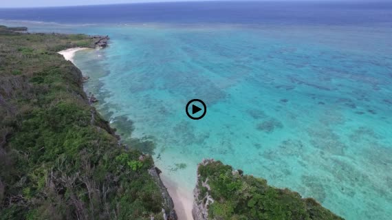 ワルミ岩動画５