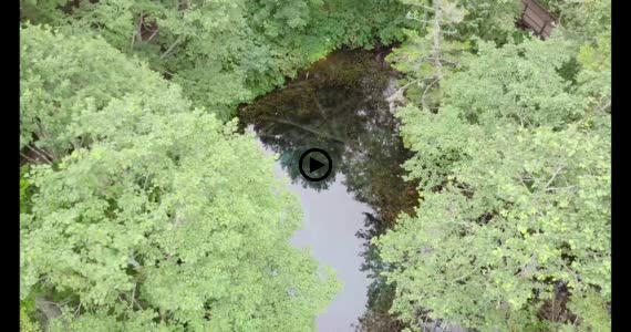 神の子池動画３