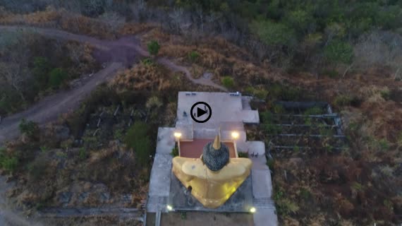 ゴールデンブッダ8-1