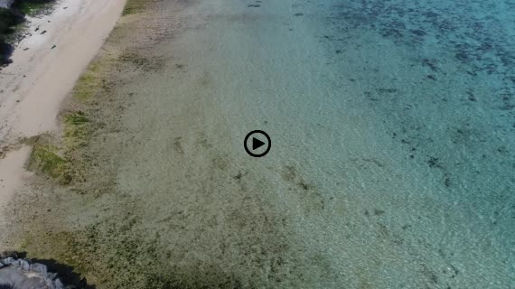 小浜島民家と海6-2