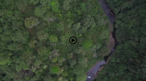 タートファーンの滝2-1