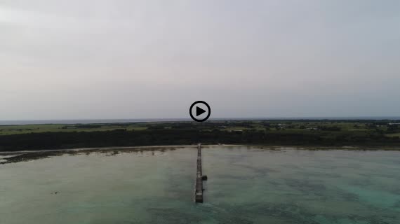 黒島 伊古桟橋 3-1