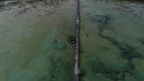 黒島 伊古桟橋 10-2