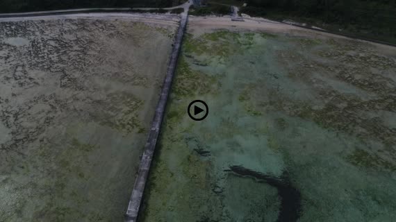 黒島 伊古桟橋 11-2