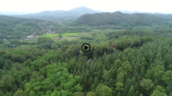 カイディン帝廟7-1