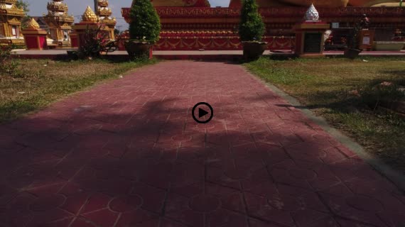 タートルアン20-1