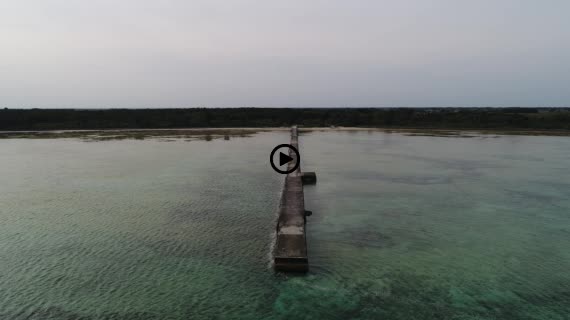 黒島 伊古桟橋 5-1