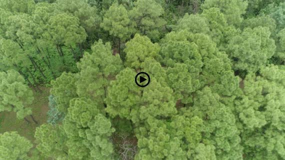 カイディン帝廟5-1