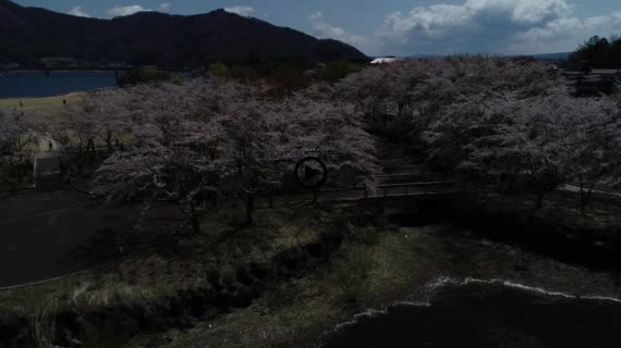 河口湖八木崎公園9-1