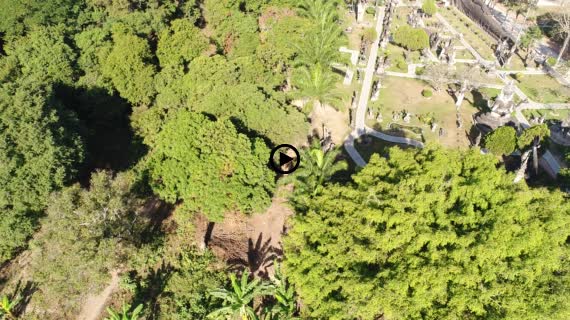 ブッダパーク9-2