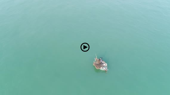 ミーケビーチ朝5-1