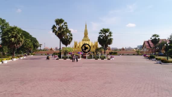 タートルアン1-1