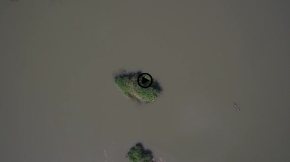 シーパンドン7-1