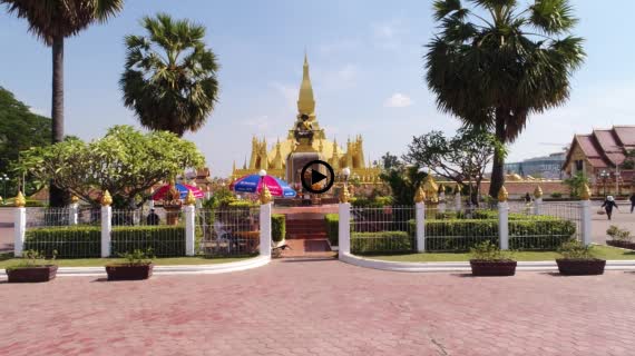 タートルアン4-1