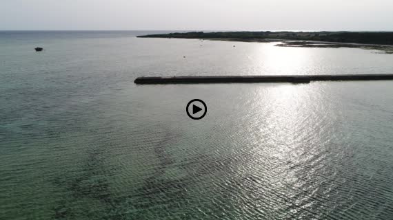 黒島 伊古桟橋 7-3