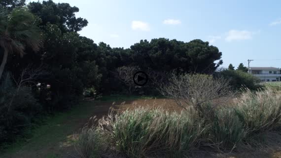 小浜島民家と海1-1