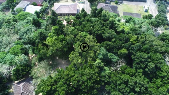 小浜島民家と海2-2